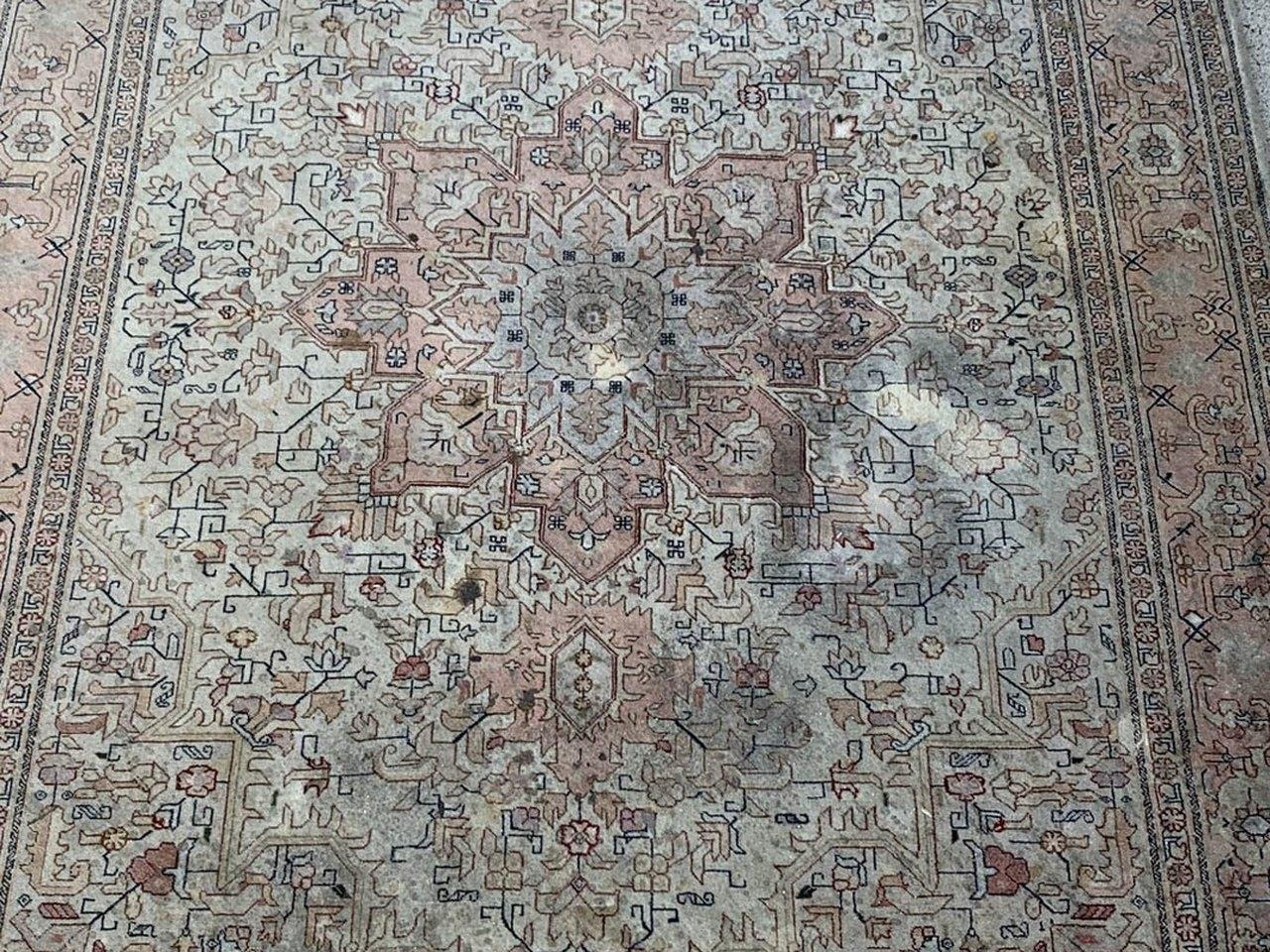 The Smell Test: How Pet Odor in Rugs Quietly Costs San Diego Sellers Offers